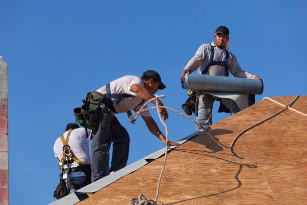 Best Roofing Contractor Near Me  in Leslie, MI