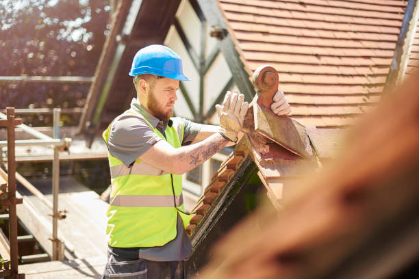 Best Flat Roof Repair Services  in Leslie, MI
