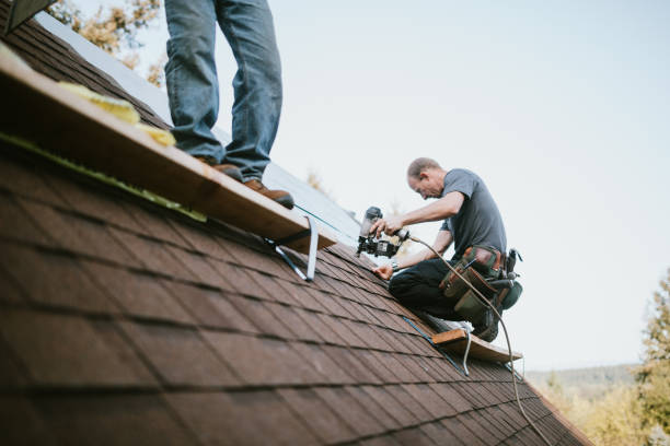 Best Roof Gutter Cleaning  in Leslie, MI