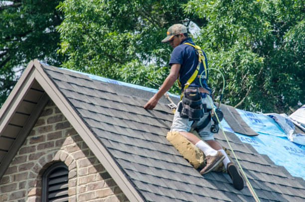 Best Emergency Roof Repair  in Leslie, MI